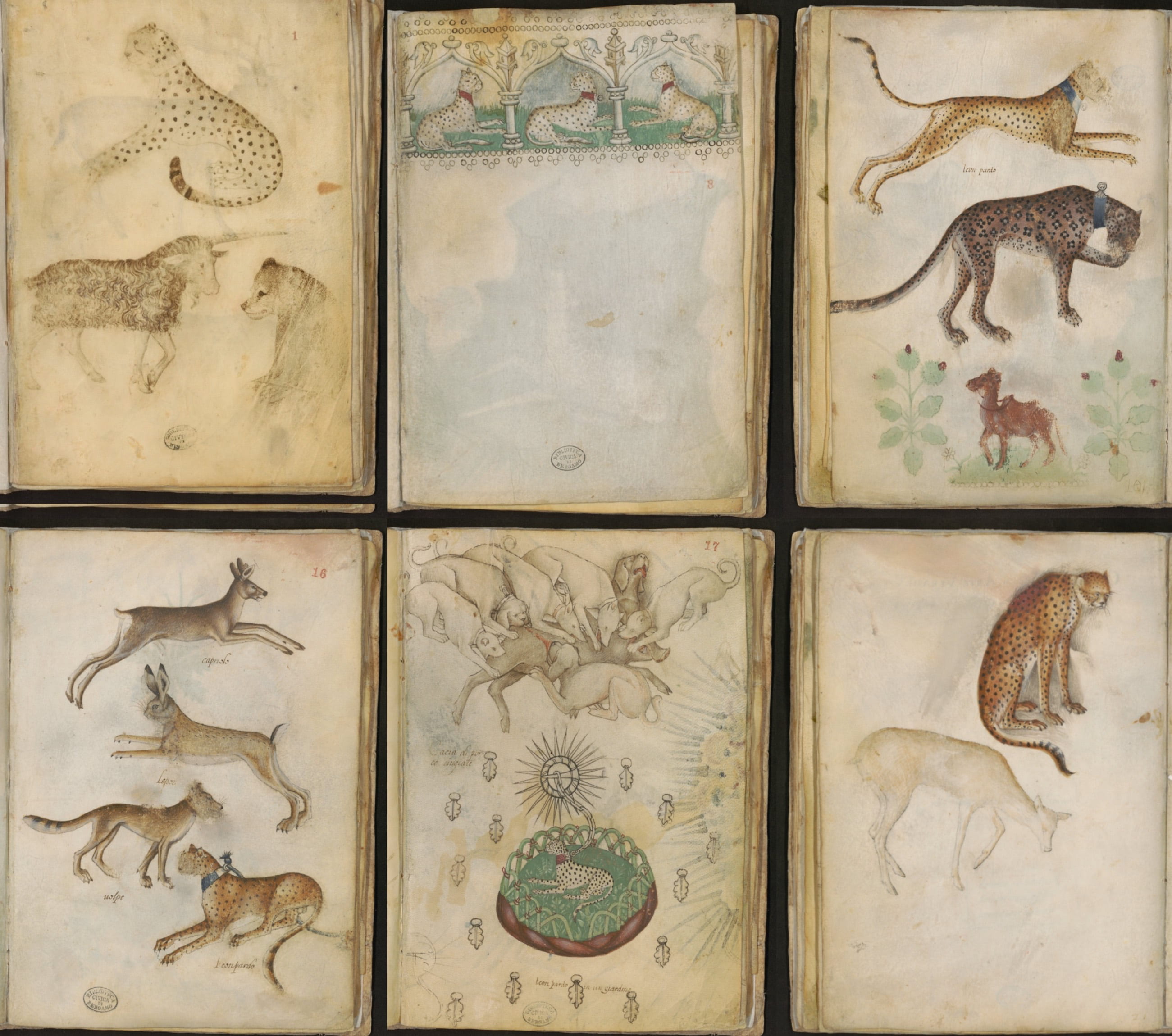 giovannino-de-grassi-sketches.jpg